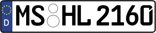 MS-HL2160