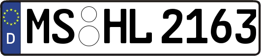MS-HL2163