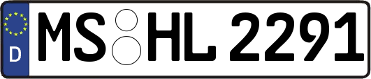 MS-HL2291