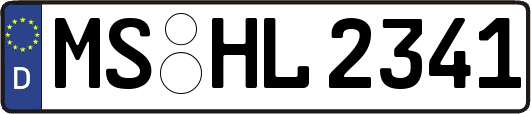 MS-HL2341