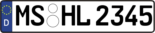 MS-HL2345