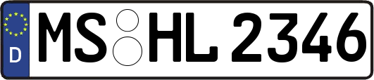 MS-HL2346