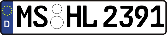 MS-HL2391