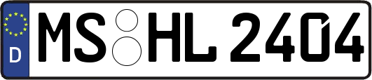 MS-HL2404