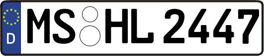 MS-HL2447