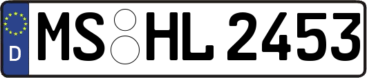 MS-HL2453