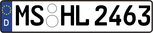 MS-HL2463
