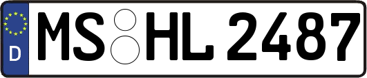 MS-HL2487