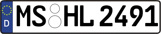 MS-HL2491