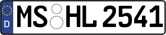 MS-HL2541