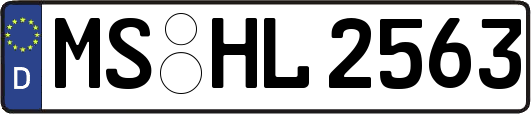 MS-HL2563