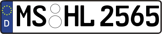 MS-HL2565