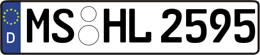 MS-HL2595