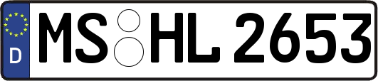 MS-HL2653