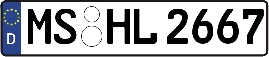 MS-HL2667