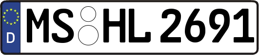 MS-HL2691