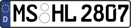 MS-HL2807