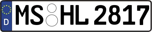 MS-HL2817