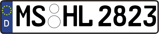 MS-HL2823