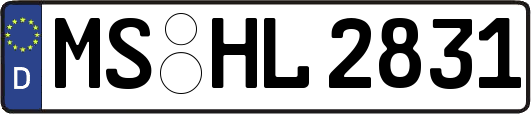 MS-HL2831