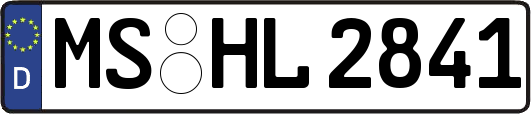 MS-HL2841