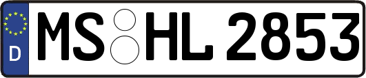 MS-HL2853