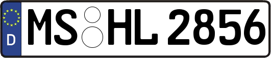 MS-HL2856