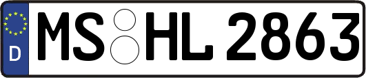 MS-HL2863