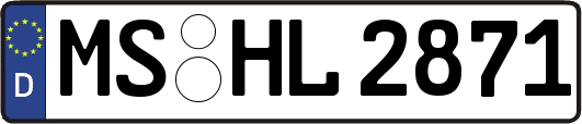 MS-HL2871
