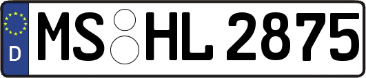 MS-HL2875