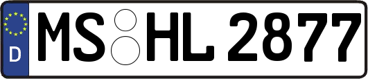 MS-HL2877