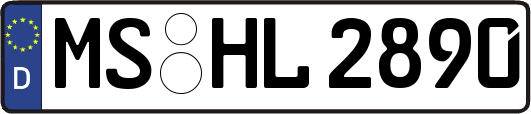 MS-HL2890
