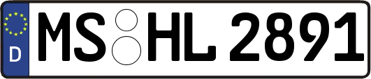 MS-HL2891