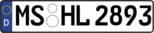 MS-HL2893