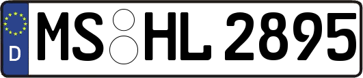 MS-HL2895