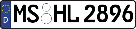 MS-HL2896