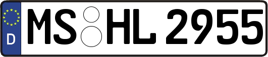 MS-HL2955