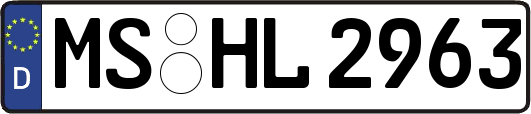 MS-HL2963