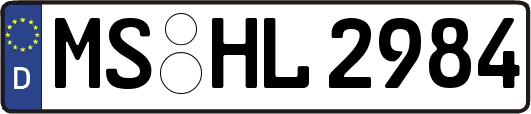 MS-HL2984
