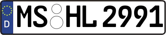 MS-HL2991