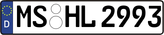 MS-HL2993