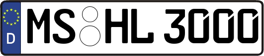 MS-HL3000