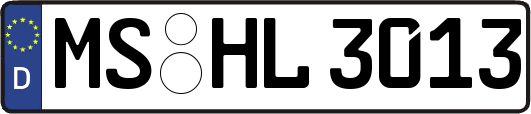 MS-HL3013