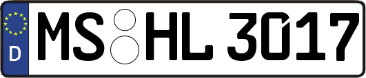 MS-HL3017