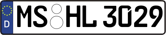 MS-HL3029