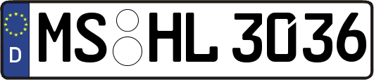 MS-HL3036