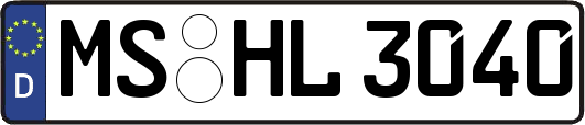 MS-HL3040