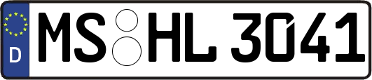 MS-HL3041