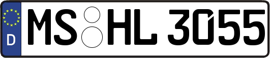 MS-HL3055