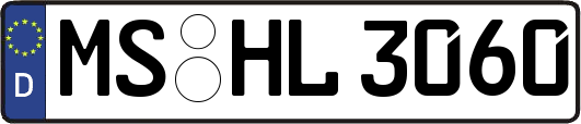 MS-HL3060